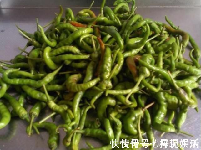 罐子|老婆把青辣椒放进坛子里，不加一滴水，10天后全家人吃“嗨”了