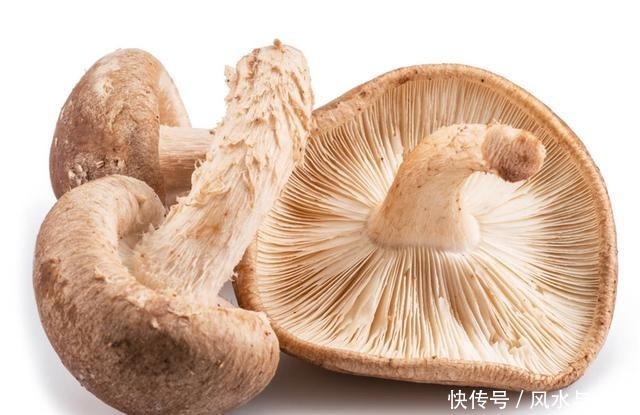 买香菇,挑大的还是小的牢记“3买3不买”,谁也不敢忽悠你!