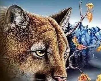 营养源|老年痴呆测试图中有几只狮子据说聪明的人能找出7只,你呢