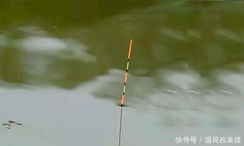 钓友|钓鱼大师:顿口是这么来的,下次知道该怎么调漂了吧