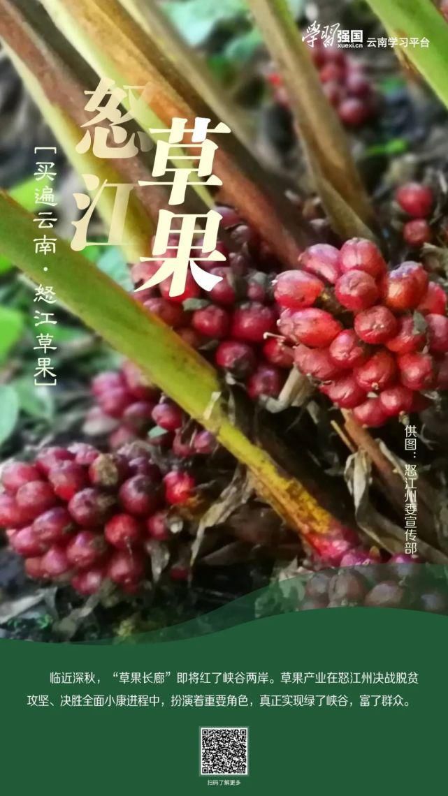 购物|云南@你，这样的“双11”购物清单不来一份吗？