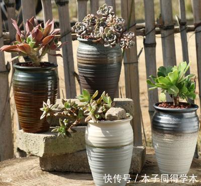 花友|3种花盆,再好看也不要用来养多肉,容易烂根化水!