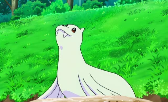 天下|《宝可梦》雨天下才有作用的三个特性,其中一个是雨天手必备?