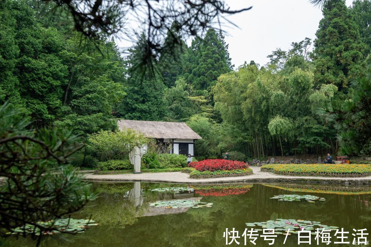 牯岭镇|大美庐山一个千古有名的风景胜地，壮丽的风光无不让人赞叹