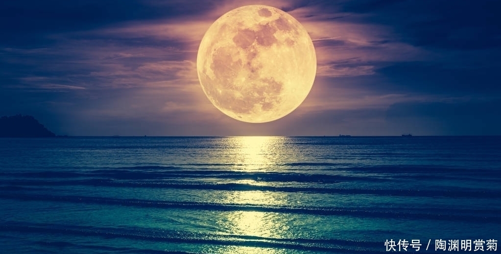 爱他明月好,憔悴也相关。读月光的古诗,