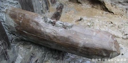 梦溪笔谈|《梦溪笔谈》中,记载着神秘的滉柱,专家在海塘遗址找到它的真身