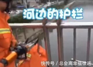 危险|熊孩子被“卡”合集,持续高能,熊孩子:万物皆可把头塞进去