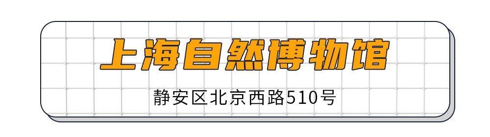 中华人民共和国未成年人保护法|最最最期盼的节日来啦！这些地方都值得去！还有礼物等你来查收