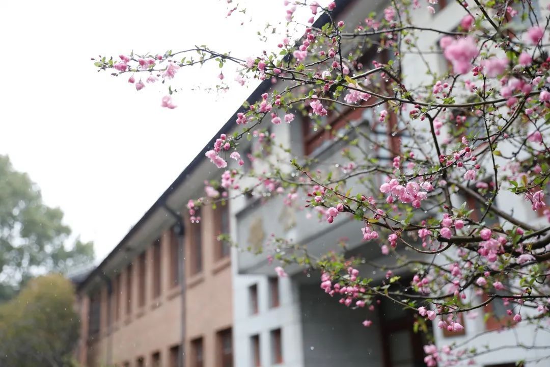 我“雨”最美校园，一起云赏沪上46所高校雨中即景