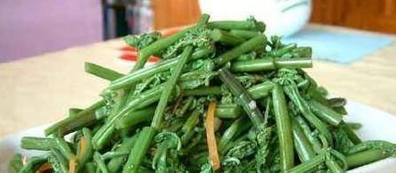 农村人爱吃以下山野菜,是名贵中草药!专家:早看早知道