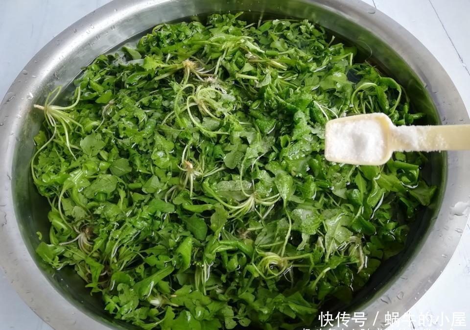 随取|冬季碰到此菜多买些,焯水后再储存,能吃一整年,随吃随取,方便