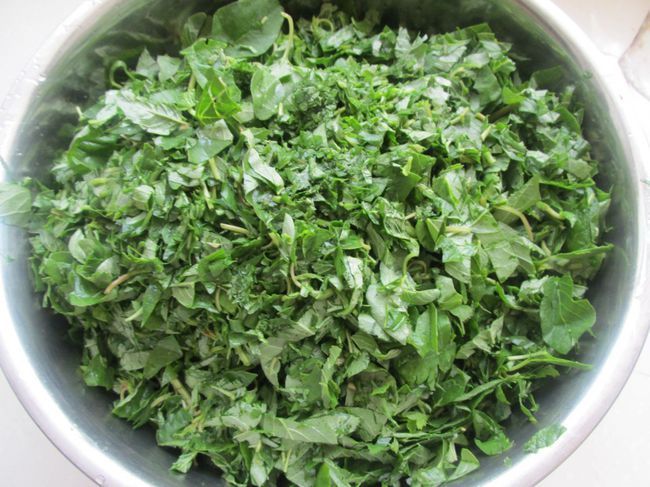 采摘|它被称为“长寿菜”,产量大,吃的人却不多,含钙量比牛奶高