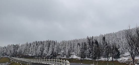 仙女山|仙女山华邦的雪化了，也很美