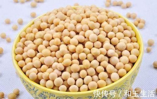 不饱和脂肪酸|黑豆与黄豆那个比较有营养，它们有什么区别，知道的人真不多
