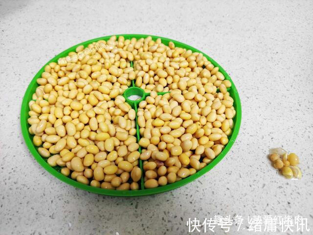 黄豆芽|用了我这办法，发黄豆芽不会变臭一次就成功，五天就长15厘米高！