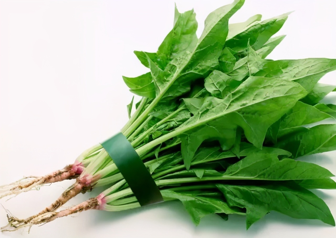 尖叶菠菜|买菠菜,要分清“尖叶”和“圆叶”,差别很大,买错不甜爽还涩口