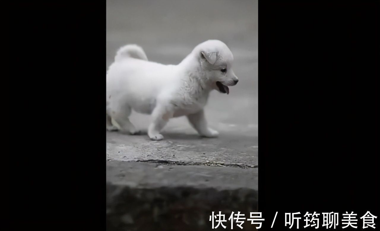 放假|放假把女儿送回老家,妈妈再去接回来时,小公主竟变成了“村霸”