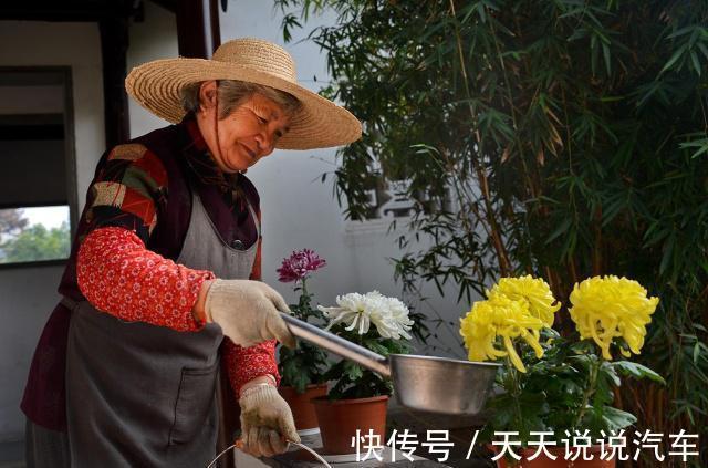 黄豆水的肥性,也比不过此特制溶液,用来浇花,绰绰有余