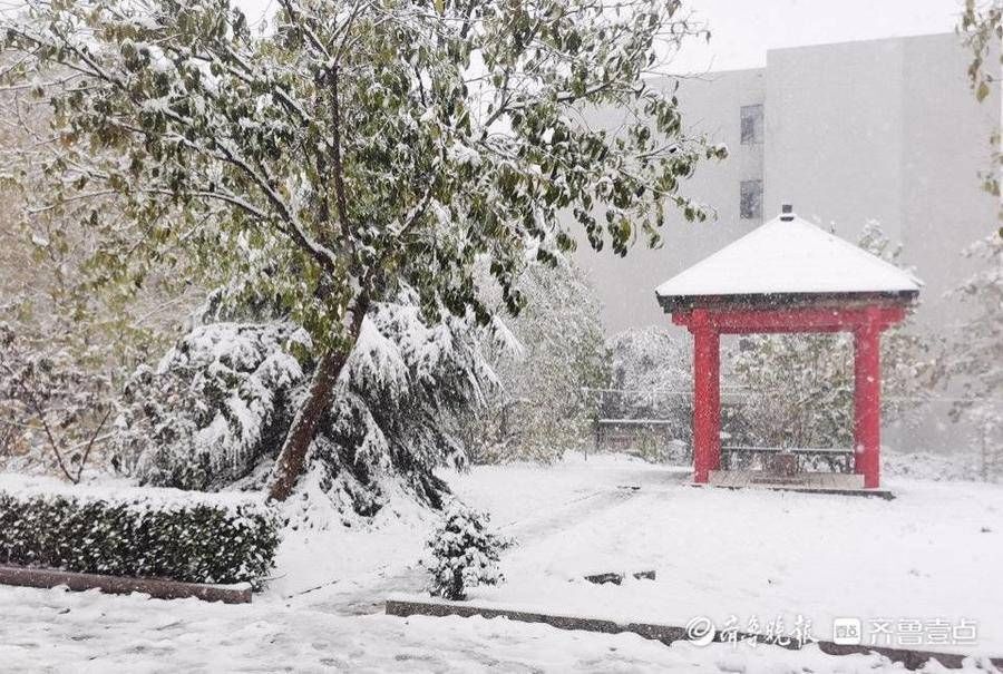 大学生|大雪下的驻济学生：校园里肆无忌惮滚雪球，那是我们的青春啊