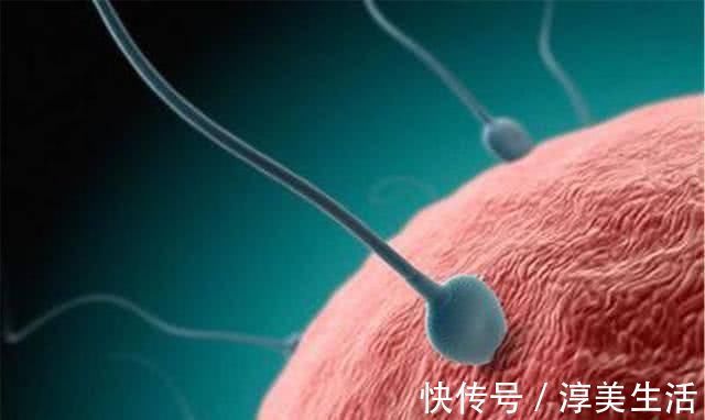 女性|卵子受孕成功时,女性大多是这“感受”,别害羞