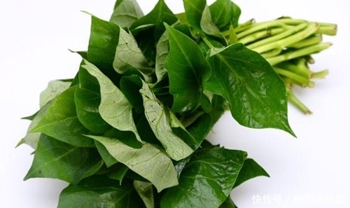 近视|孩子多吃它,眼睛不近视了,气色好了,个子比同龄人高,大脑聪明