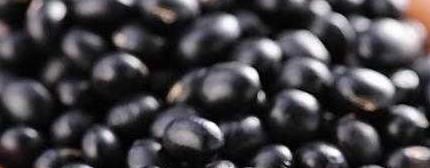 肠胃|想要长寿，4种食物每天吃点，调理肠胃，排毒护肝，早吃早健康