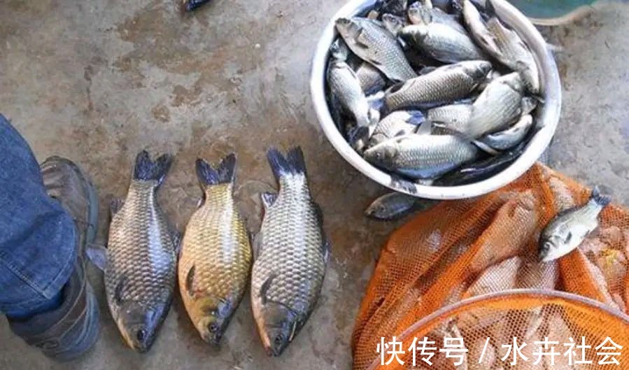 五种野钓大鱼的神饵,都藏在你家的厨房,老钓鱼人都在偷偷用