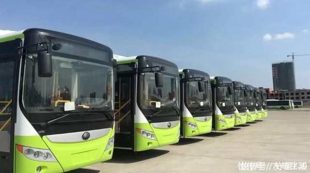 中日韩美同时研制,中国率先取得突破,中国又一领域领先全球!