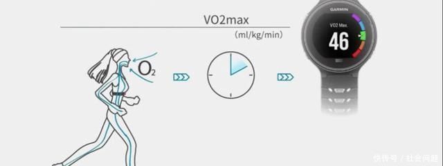 停训|健身停训多久后,肌肉会消失如何保留住肌肉