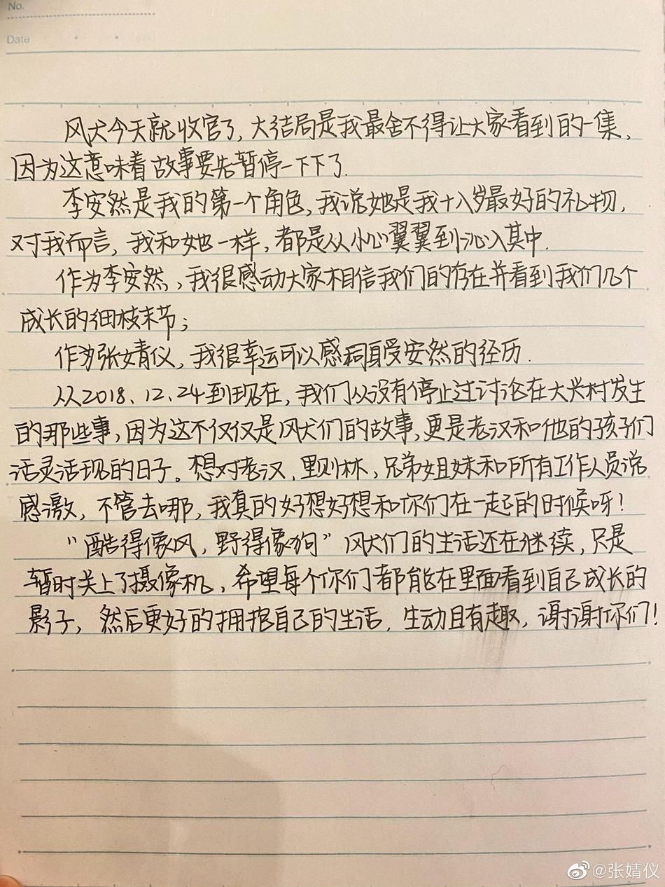  天空|《风犬少年的天空》大结局 张婧仪晒手写信告别李安然