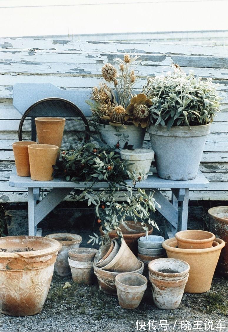 养花7年总结的小经验,希望对你有帮助