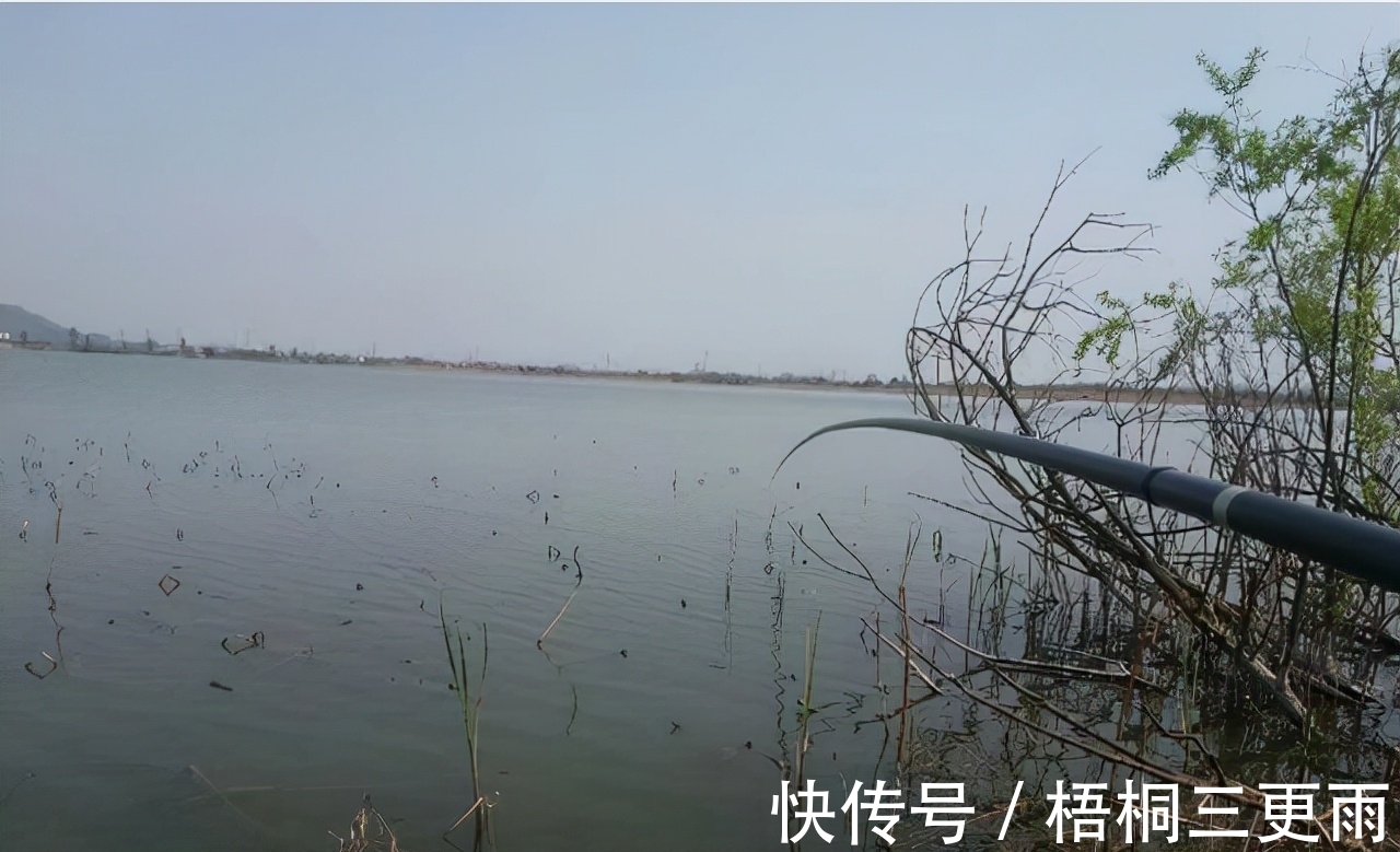 钓友们冬钓鲫鱼选钓位，既不可死板教条，又不能走极端