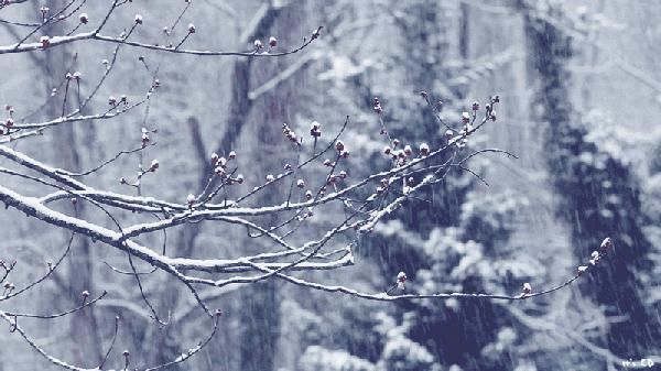 邂逅|冬季里的浪漫 就是在古街邂逅一场冰雪奇缘