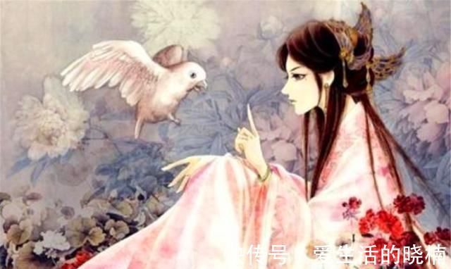 斜月@鉴赏张先的《一丛花令》,开头就是千古名句,美得让人心碎