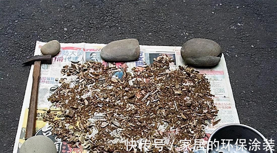 花肥不用买，在家自己做，“垃圾”桶里泡一泡，浇花大爆棚