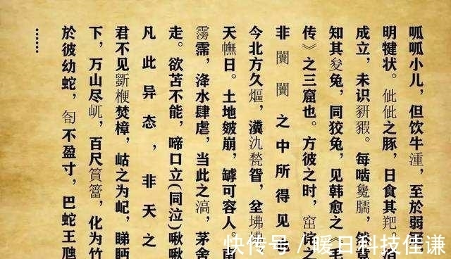 满分作文|高考生写下755字作文，有30字阅卷组长都不认识，却被评为满分作文