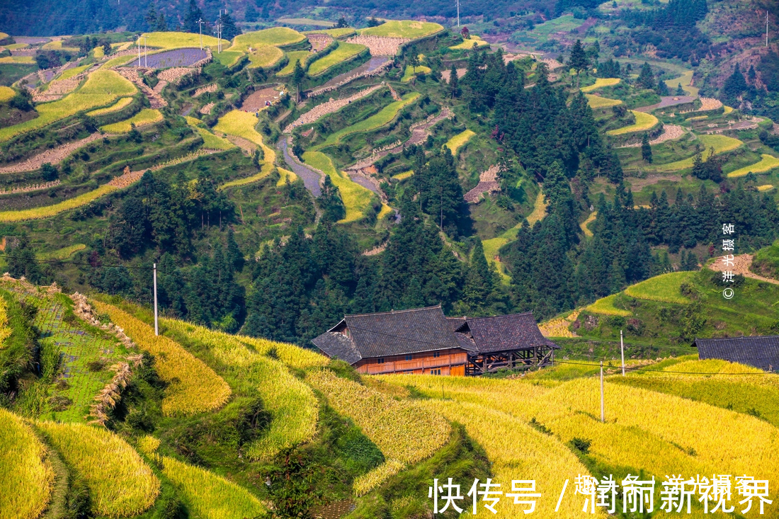 堂安侗寨|世界上独一无二的长城梯田隐匿在贵州深处，风景秀丽，却被遗忘