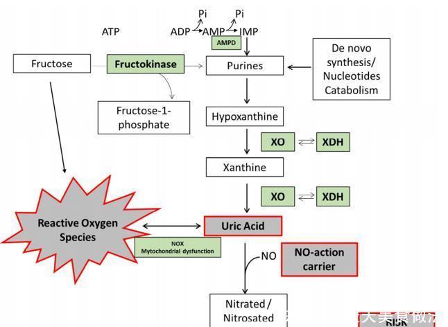  尿酸|医生总说痛风患者降尿酸要多喝水排尿，3种水喝了尿酸不降反升