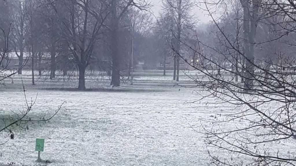 荷兰出现白雪皑皑风景，林堡下雪了！