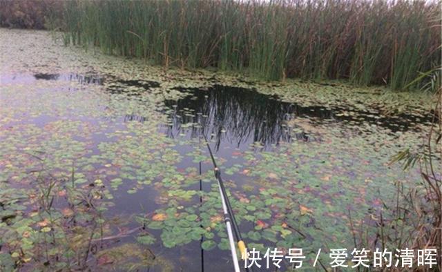 水草|野钓20年,每次野钓选择钓位,依靠的就是这些钓鱼谚语