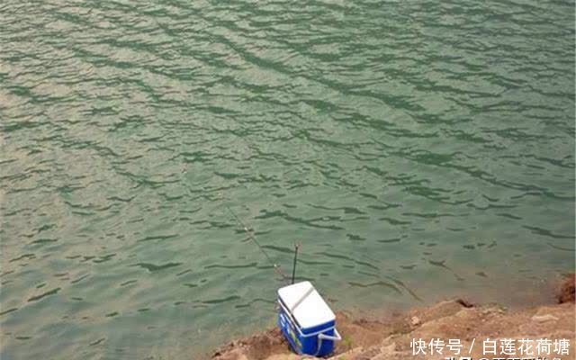 位置|夏季野钓选钓位：哪些位置有鱼未必准确，不过这些位置一定没鱼