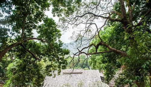 山环处|我国最牛四大私人庄园之一，历时7年还没建完，风景原始静谧