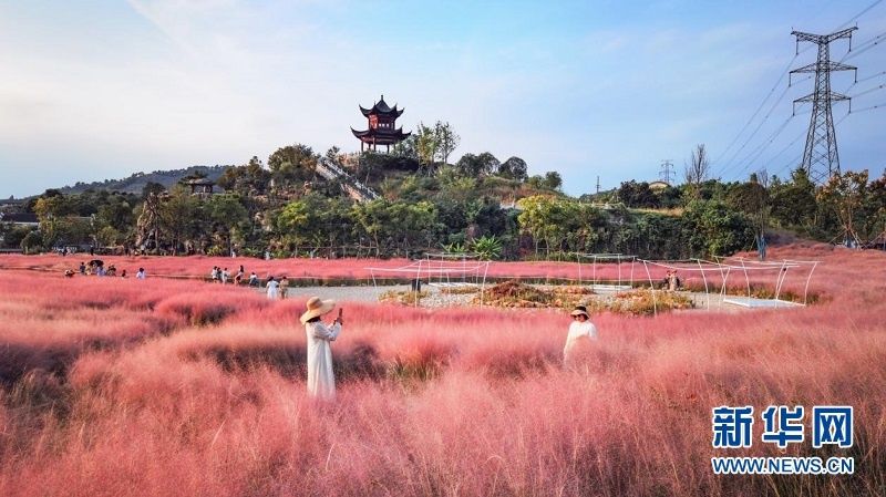 宜都市|【“飞阅”中国】秋花也烂漫 赏花正当时