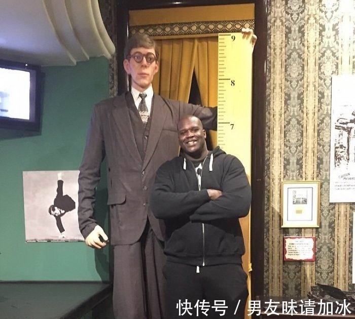 巨齿鲨#20张对比图,这将使您能够从未见过的角度看事物,第四期