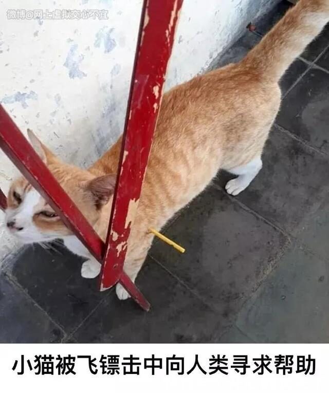 |今日笑话:妈妈要求很高啊