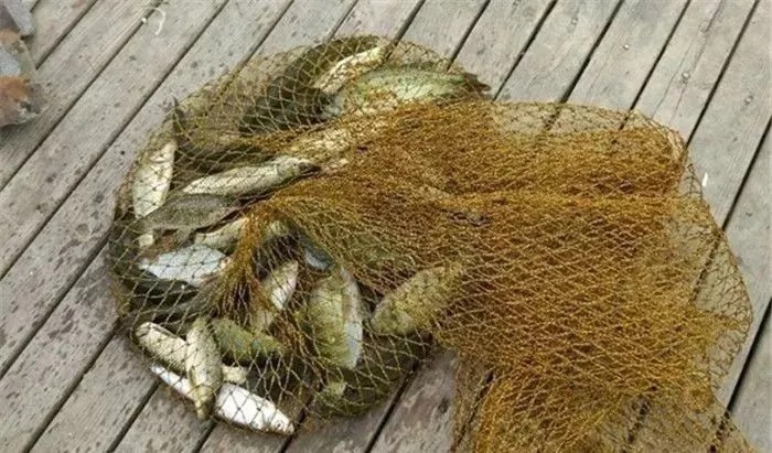 无鱼咬钩是什么原因?记住以下三点鱼获马上变多