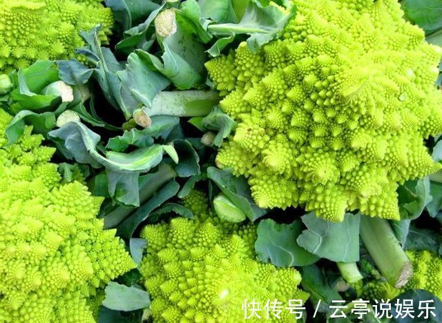 蔬菜|农村的7种蔬菜认识3种正常，认识5种我服你，全认识的人很少