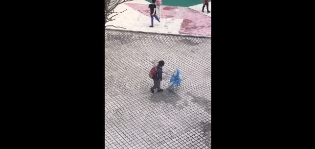 雨伞|终于得知熊孩子拿伞必散架的原因了,见到这一幕,妈妈气得牙痒痒