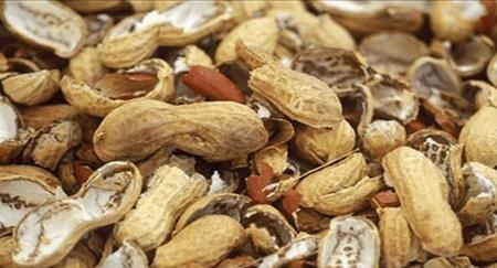 兰花喜欢“三垃圾”，土里埋一点，不烂根猛窜芽，爆出一圈大花苞