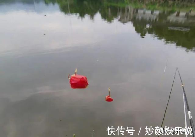 挂法|玉米如何挂钩命中率更高?挂钩方法并不重要,鱼钩才是重点